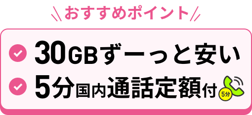 30GBずーっと安い 5分以内の国内通話定額付