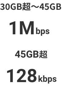 30GB超～45GB 1Mbps 45GB超 128kbps