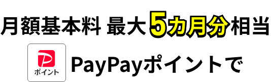 月額基本料 最大6カ月分相当 PayPayポイントで