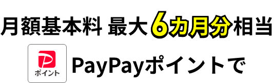 月額基本料 最大6カ月分相当 PayPayポイントで