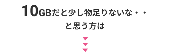 10GBだと少し物足りないな・・と思う方は